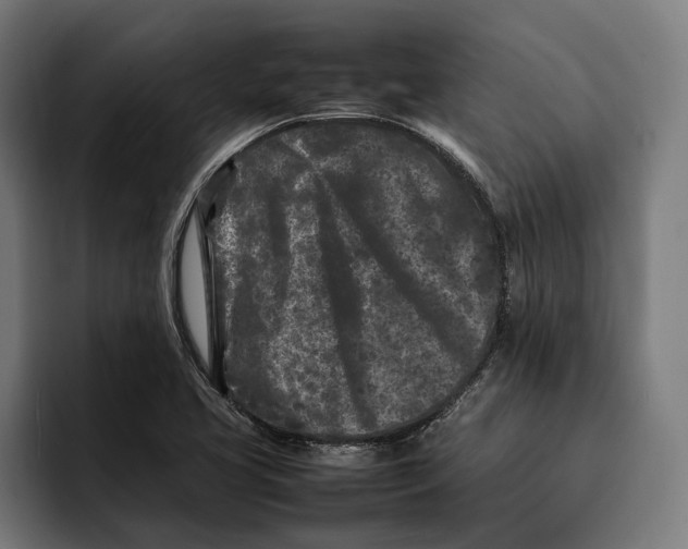 X0000092271413200710121332