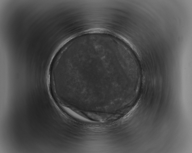 X0000092271418200710121332