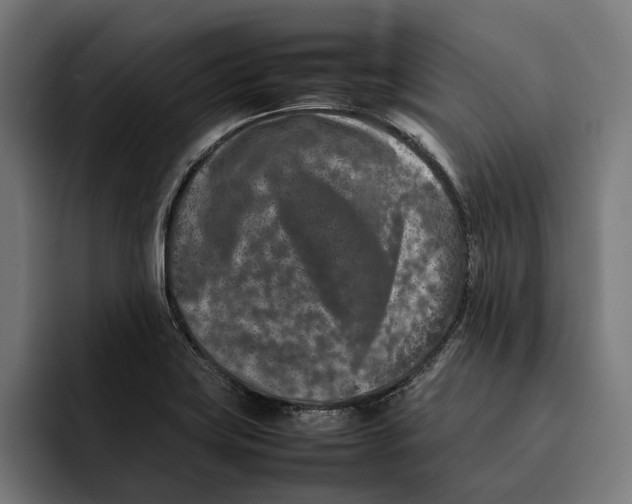 X0000092271419200710121332