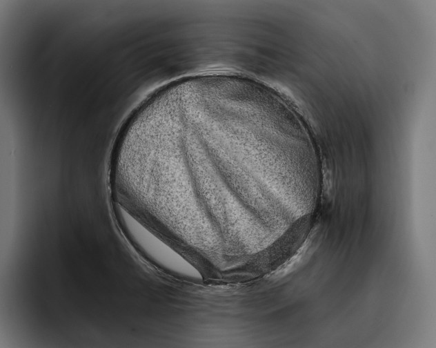 X0000092271422200710121332