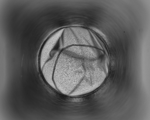 X0000092271423200710121332