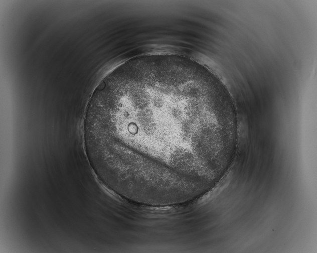 X0000092271425200710121332