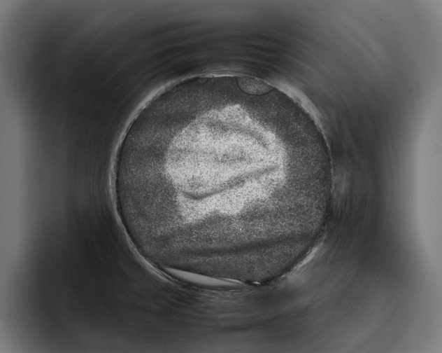 X0000092271429200710121332