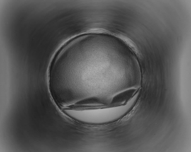 X0000092271430200710121332