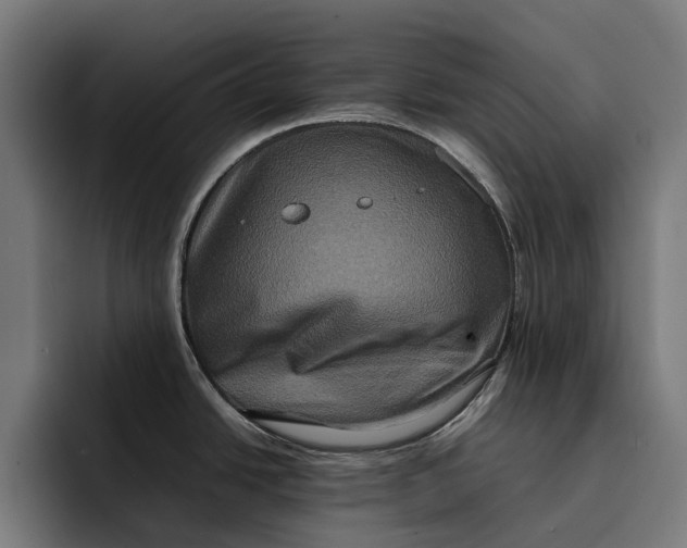 X0000092271438200710121332