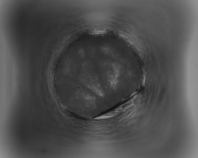 X0000092271441200710121332