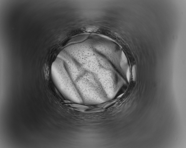 X0000092271443200710121331
