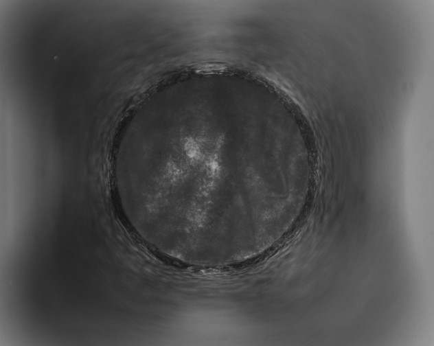 X0000092271445200710121331