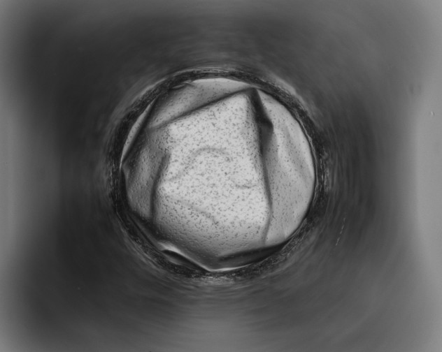 X0000092271448200710121331