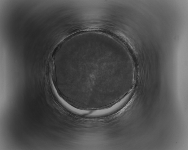 X0000092271449200710121331