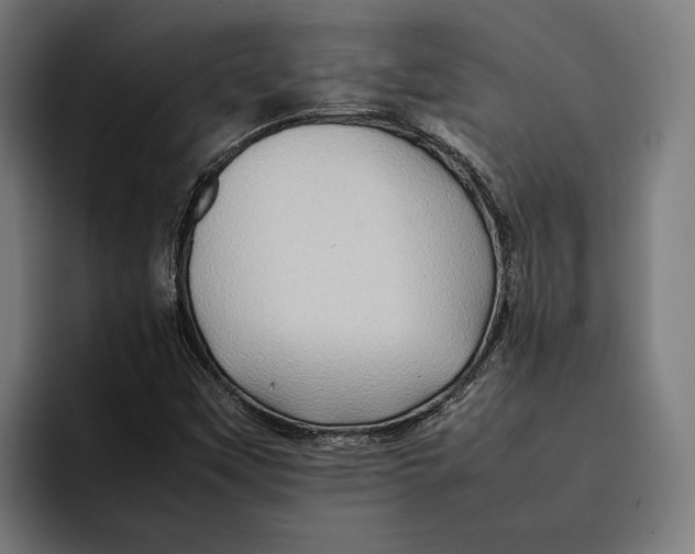 X0000092271451200710121331