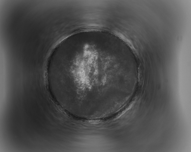 X0000092271453200710121331