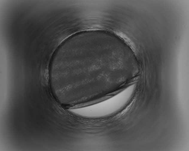 X0000092271457200710121331
