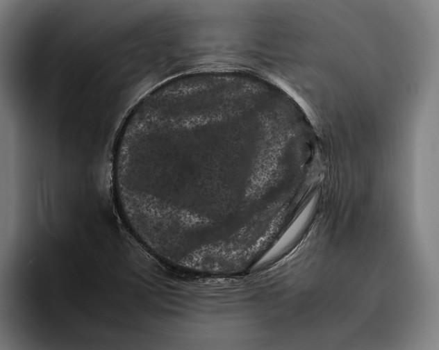 X0000092271459200710121331