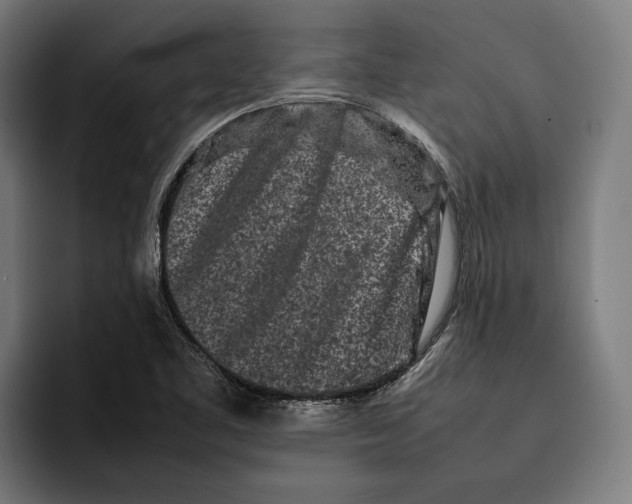 X0000092271461200710121331