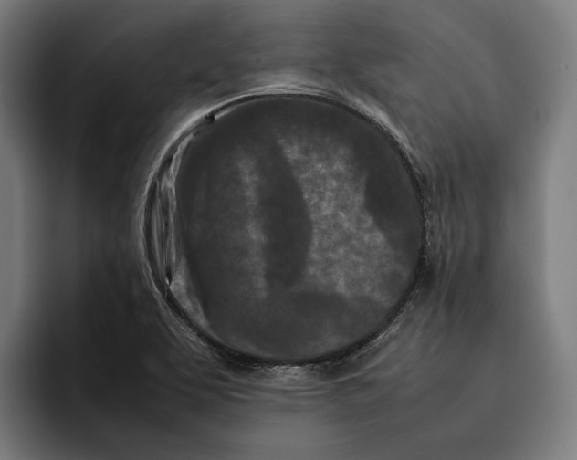 X0000092271463200710121331