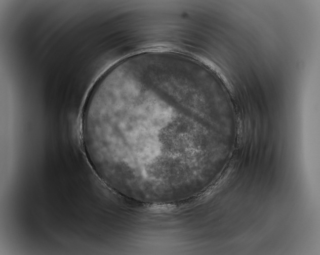 X0000092271466200710121331