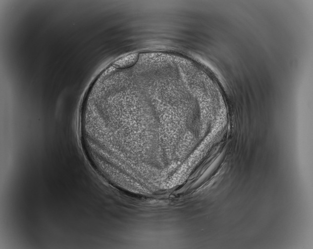 X0000092271467200710121331