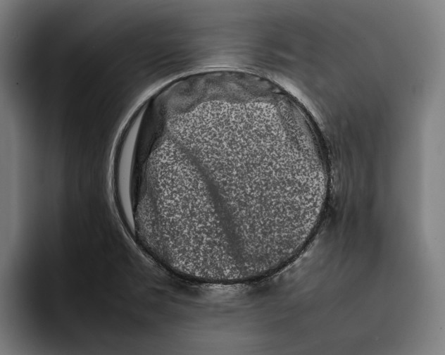 X0000092271469200710121331