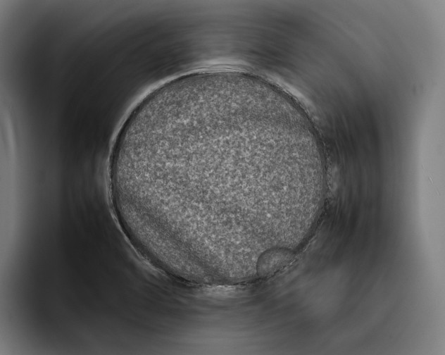X0000092271470200710121331