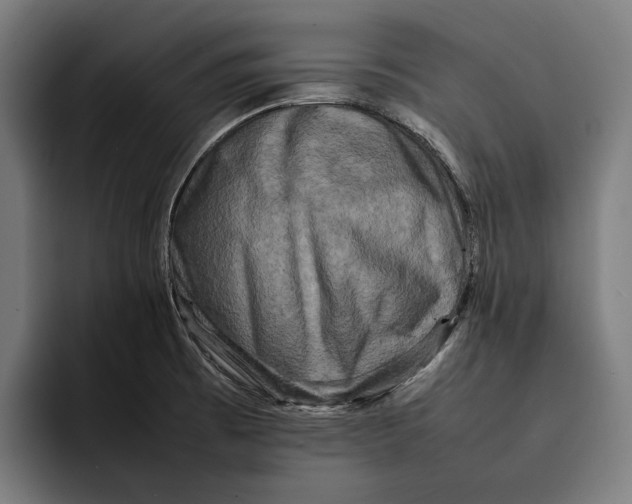 X0000092271473200710121331