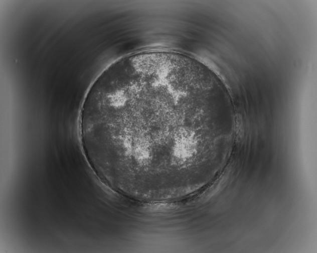 X0000092271474200710121331