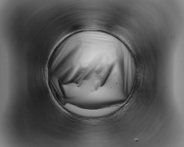 X0000092271476200710121331