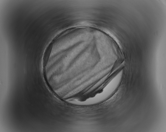 X0000092271477200710121331