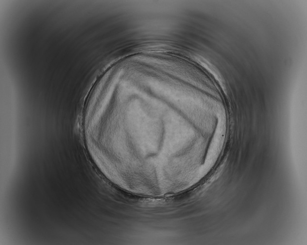 X0000092271481200710121331