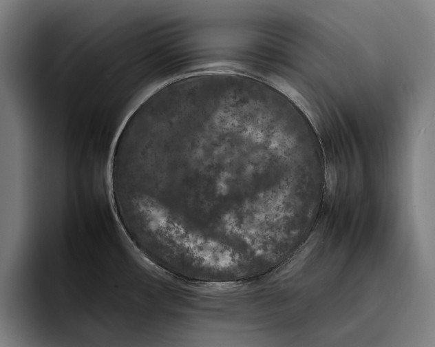 X0000092271482200710121331