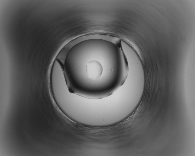 X0000092271483200710121331