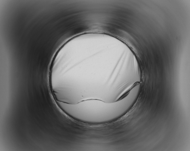 X0000092271484200710121331
