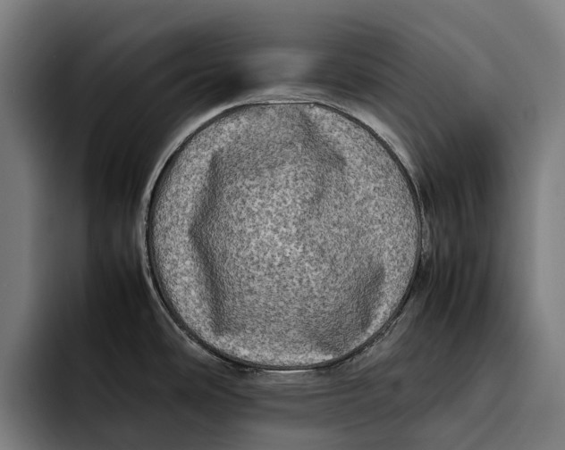 X0000092271486200710121331