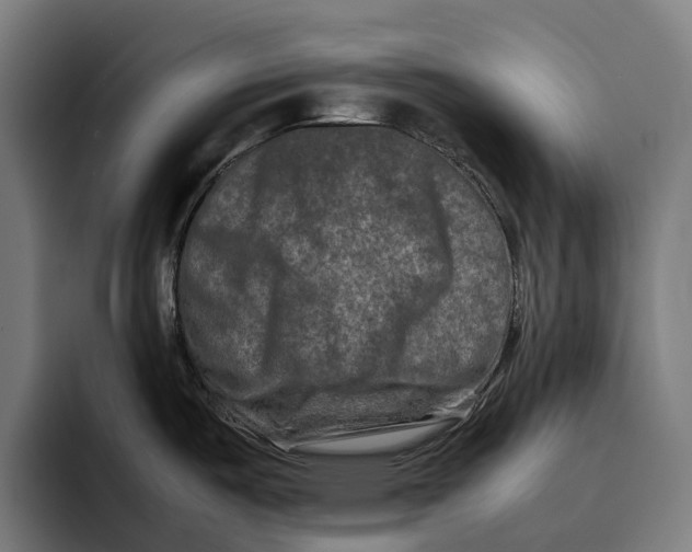 X0000092271487200710121331