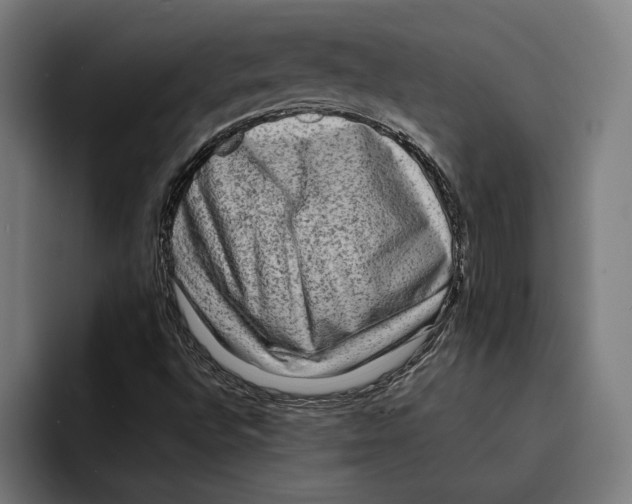 X0000092271496200710121330