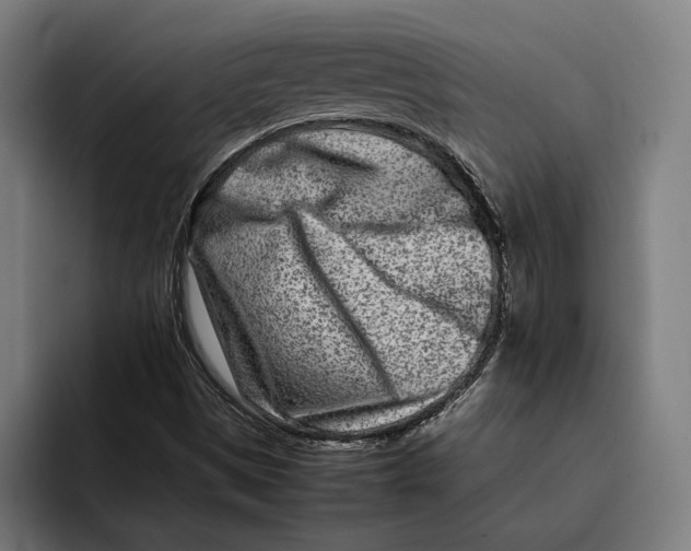 X0000092271497200710121331