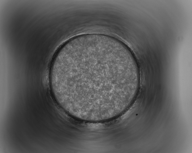 X0000092271498200710121331