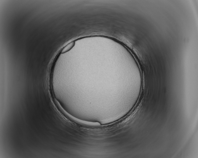 X0000092271500200710121331