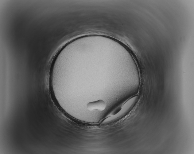 X0000092271504200710121331