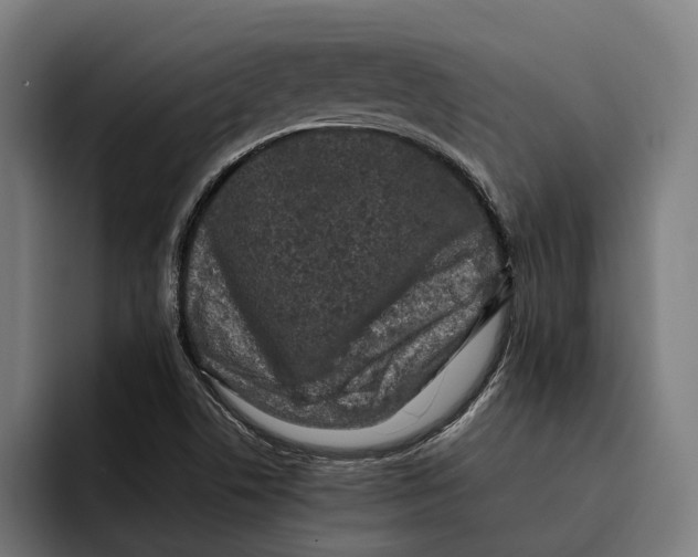 X0000092271506200710121331