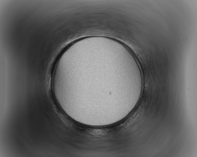 X0000092271507200710121331