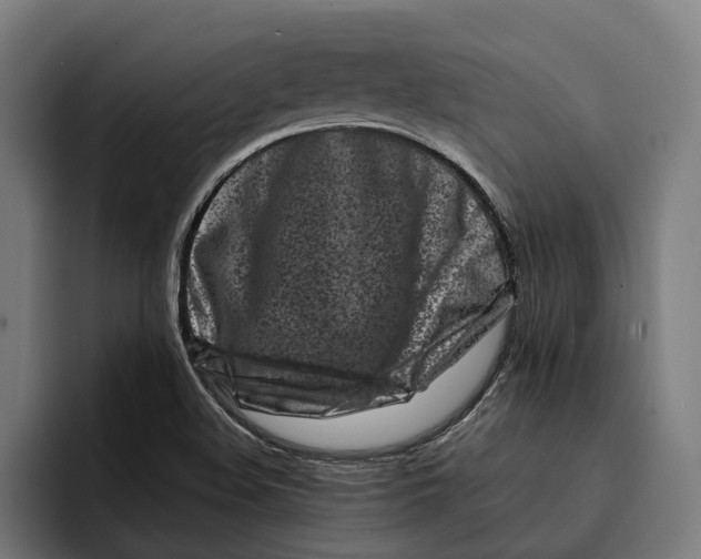 X0000092271508200710121331
