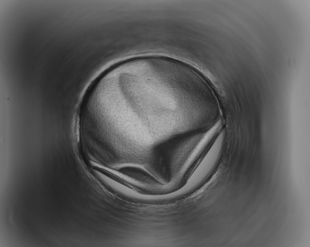 X0000092271510200710121331