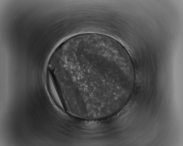 X0000092271515200710121331