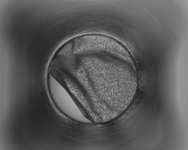X0000092271519200710121331