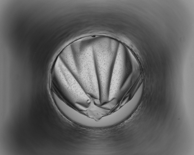 X0000092271520200710121331