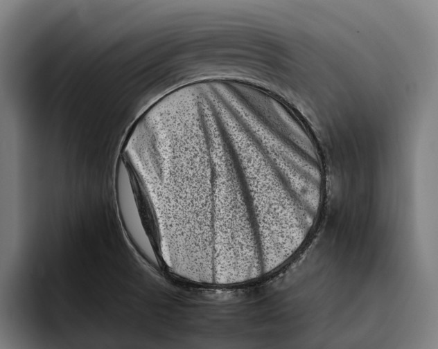 X0000092271521200710121331