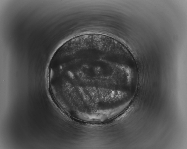 X0000092271522200710121331