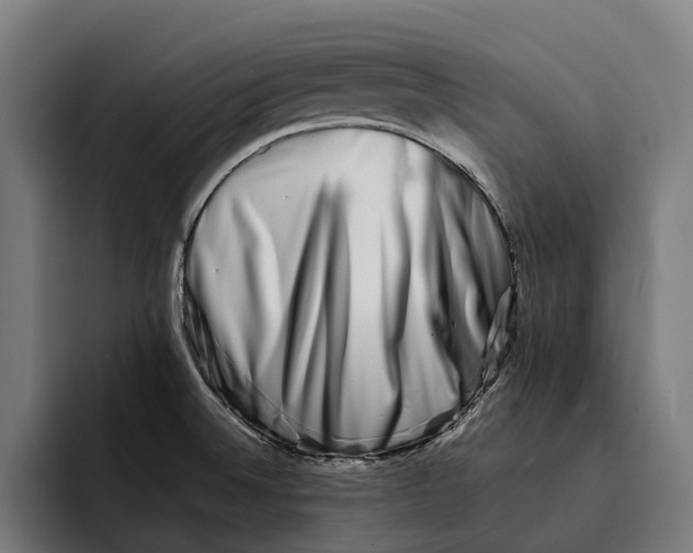 X0000092271524200710121331