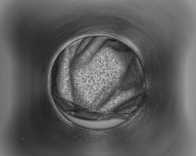 X0000092271528200710121331